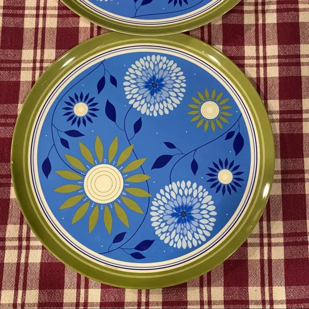 ZAK‎ Designs Pair of Blue Floral Green Border 10” Plastic Plates